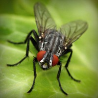 /album/somersault24/photolia-a01-jpg/