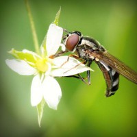 /album/somersault24/photolia-a02-jpg/