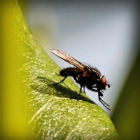 /album/somersault24/photolia-a04-jpg/