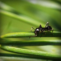 /album/somersault24/photolia-a05-jpg/