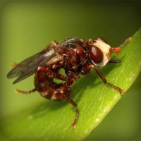 /album/somersault24/photolia-a06-jpg/