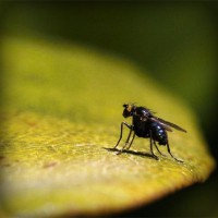 /album/somersault24/photolia-a07-jpg/