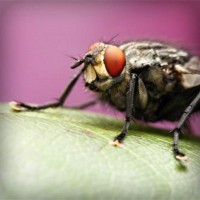 /album/somersault24/photolia-a08-jpg/